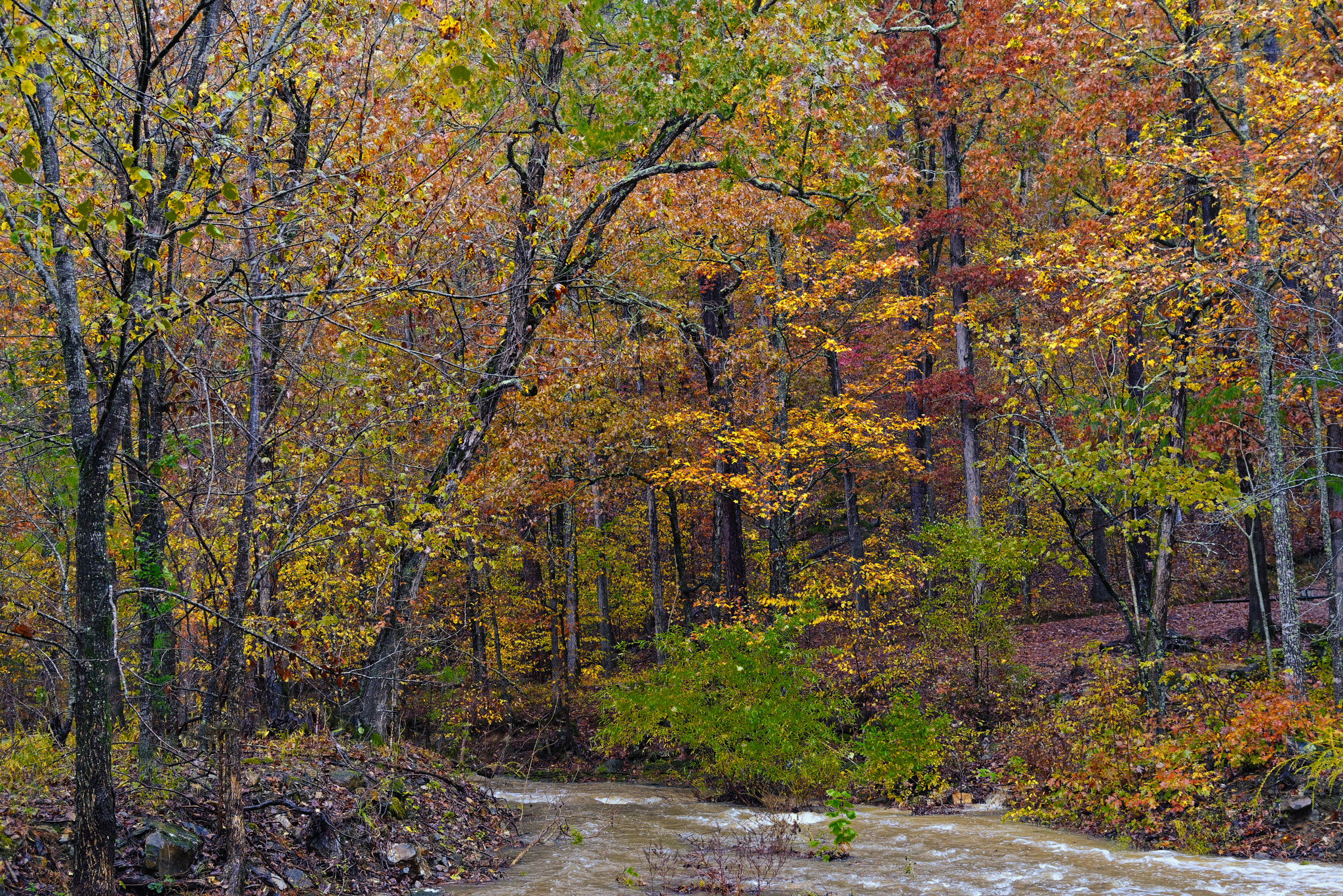 Tucked in Off the Beaten Path