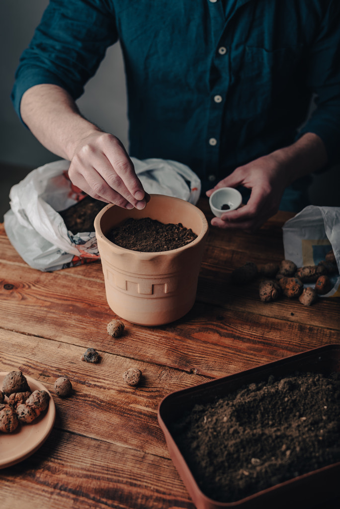 Man Sowing Thyme Seeds into Terracotta Pot by Vsevolod Belousov on 500px.com