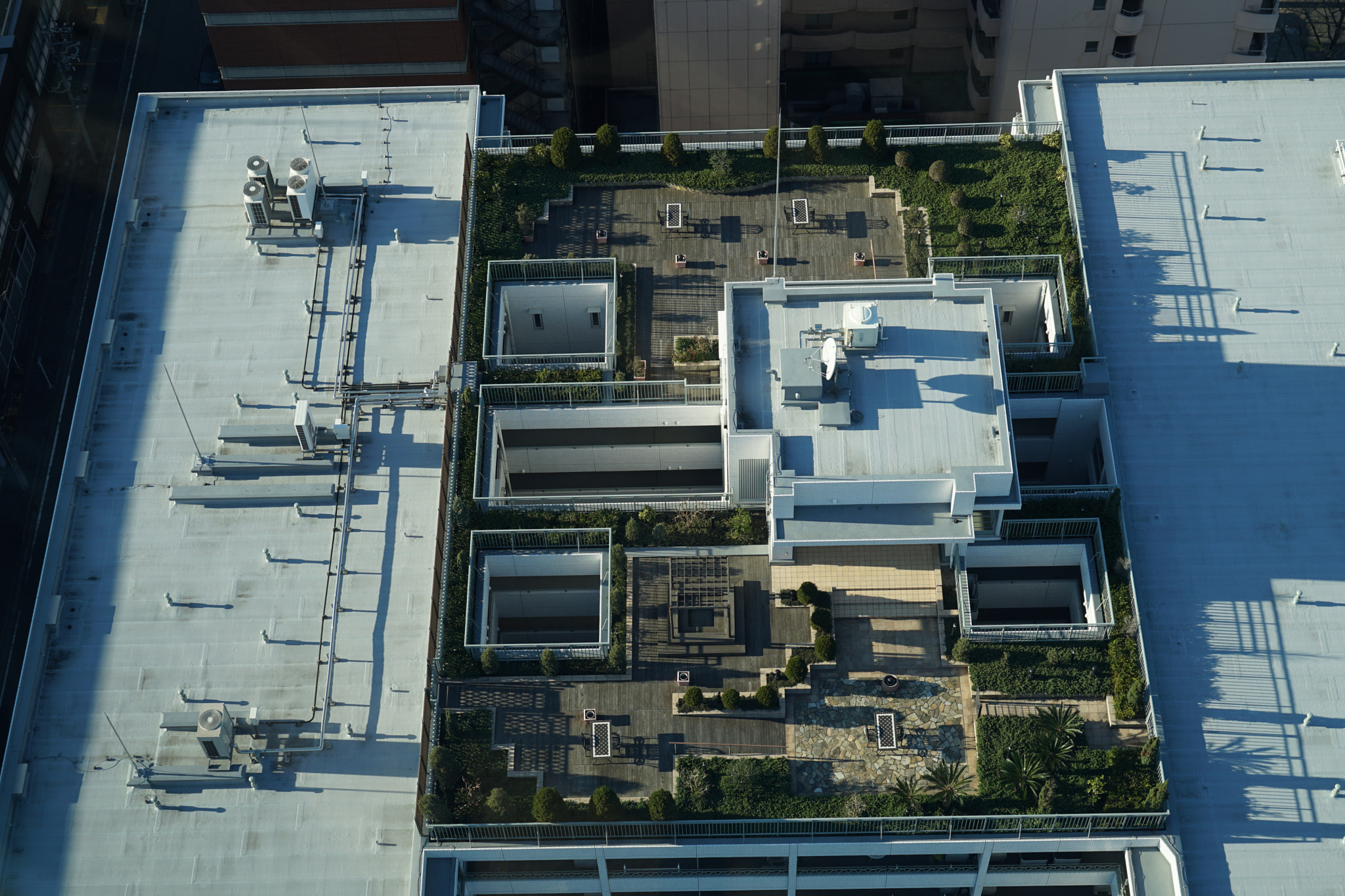 Rooftop garden of the building