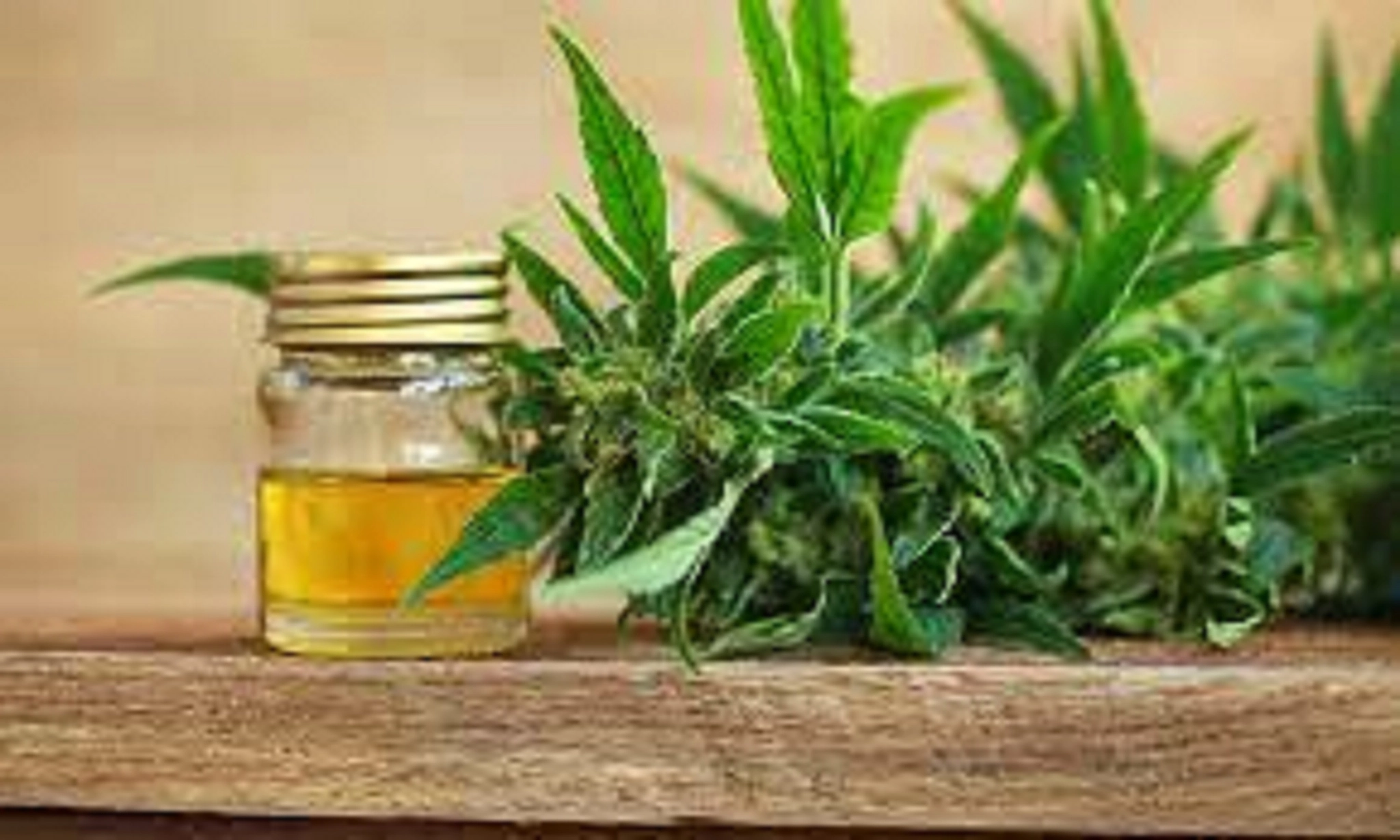 10 Best CBD for Sleep Brands: Quality, Consistency Formulas