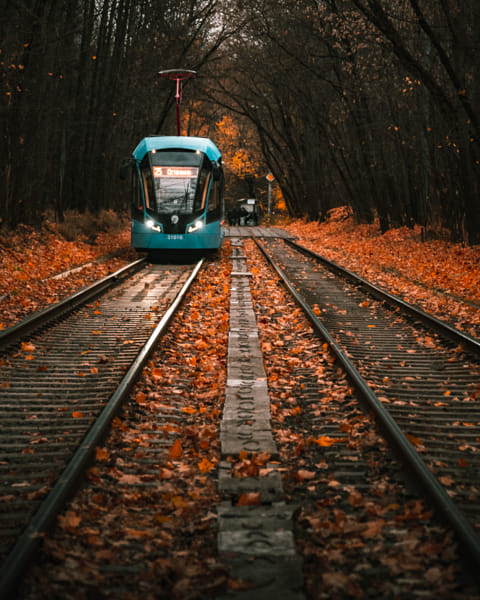 Tram in the woods by Vitaly Tyuk on 500px.com