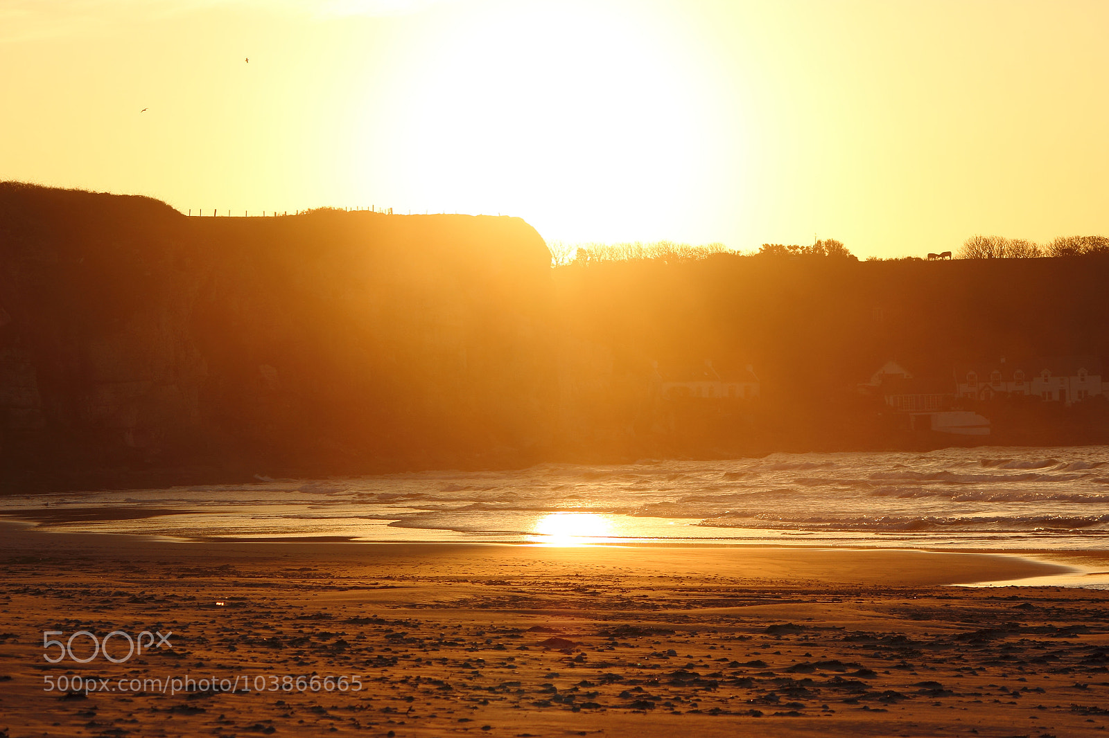 Canon EF-S 55-250mm F4-5.6 IS II sample photo. Golden hour at whitepark photography
