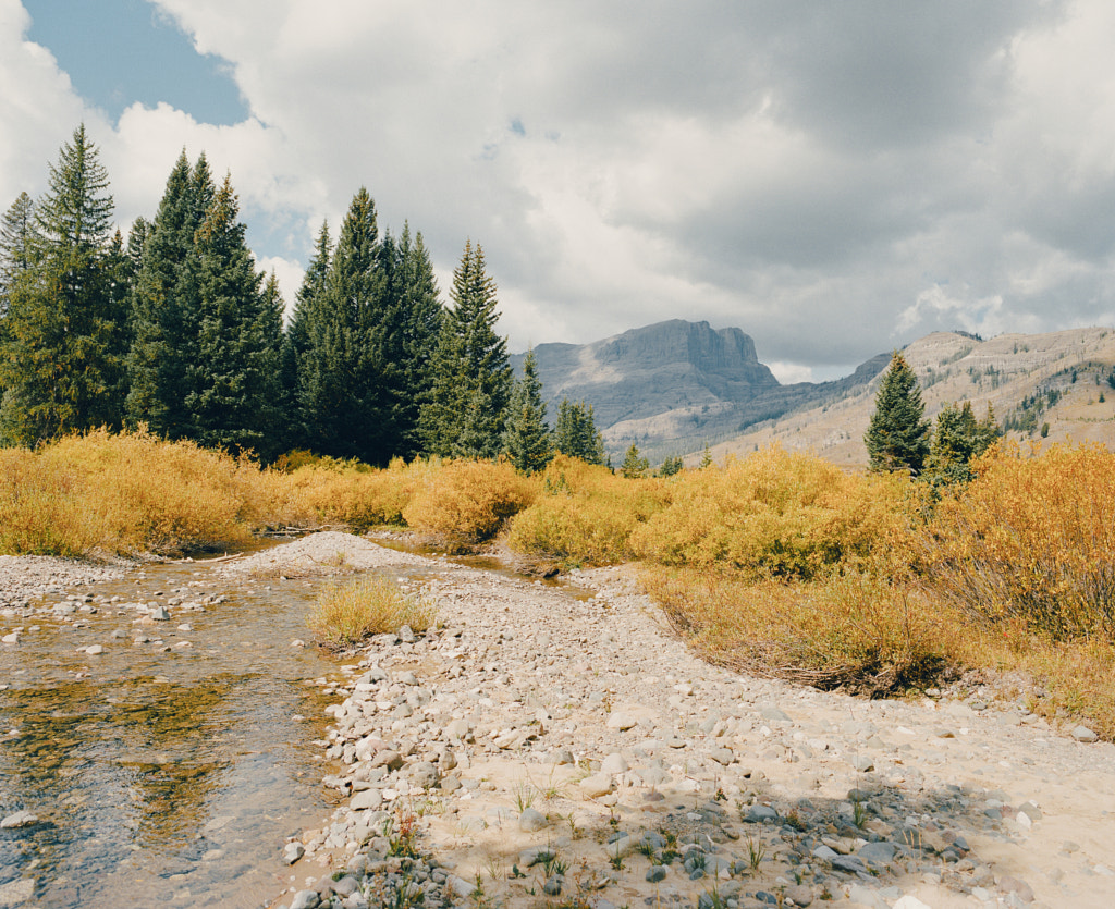 hike into grizzly country on medium format by Sam Brockway on 500px.com