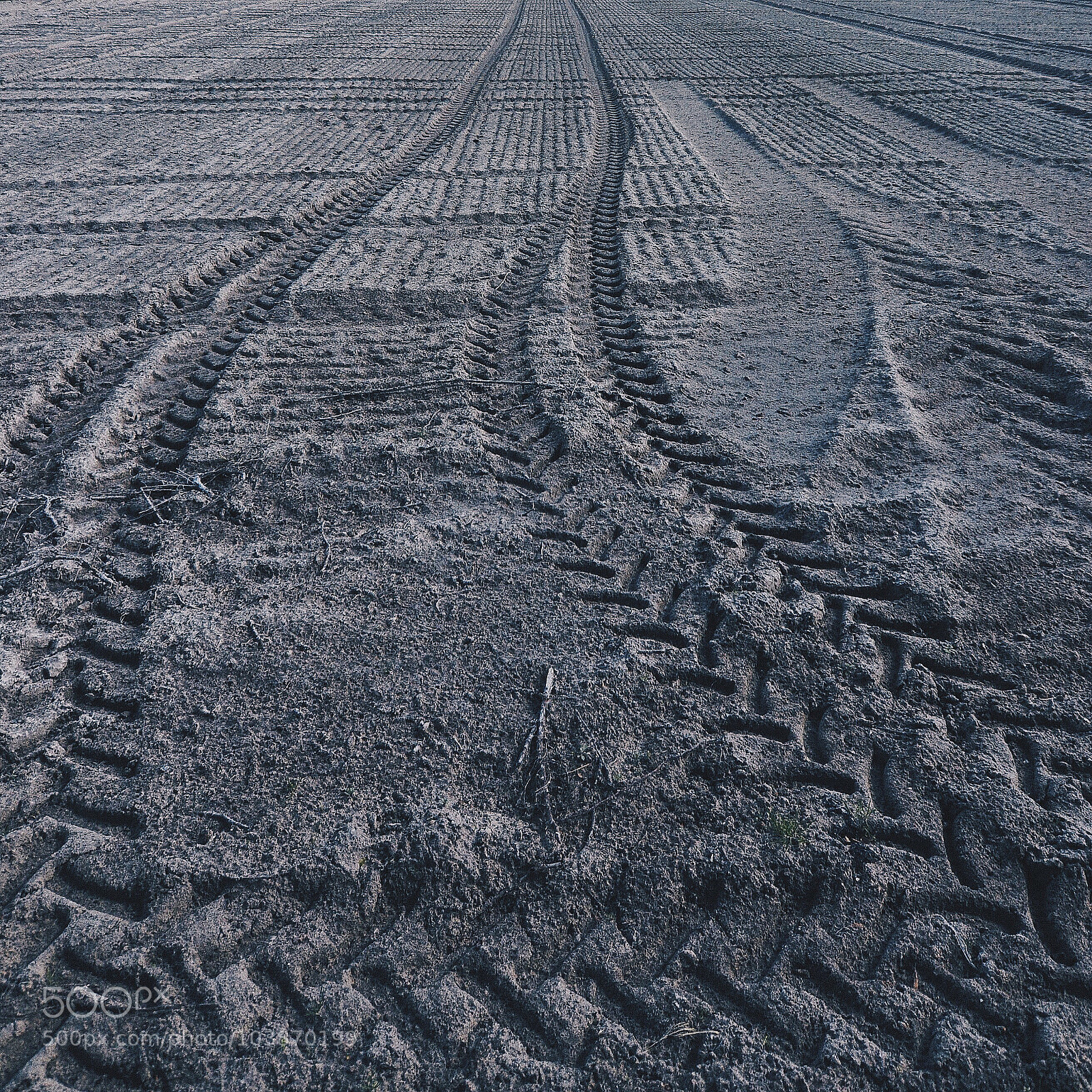 Nikon D90 sample photo. Mud photography