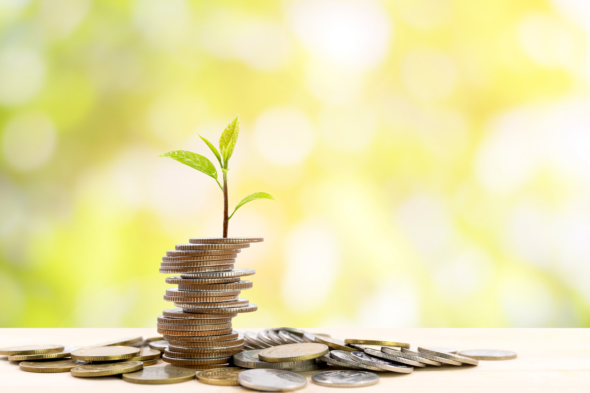 Stack of coins with a small tree at the top.