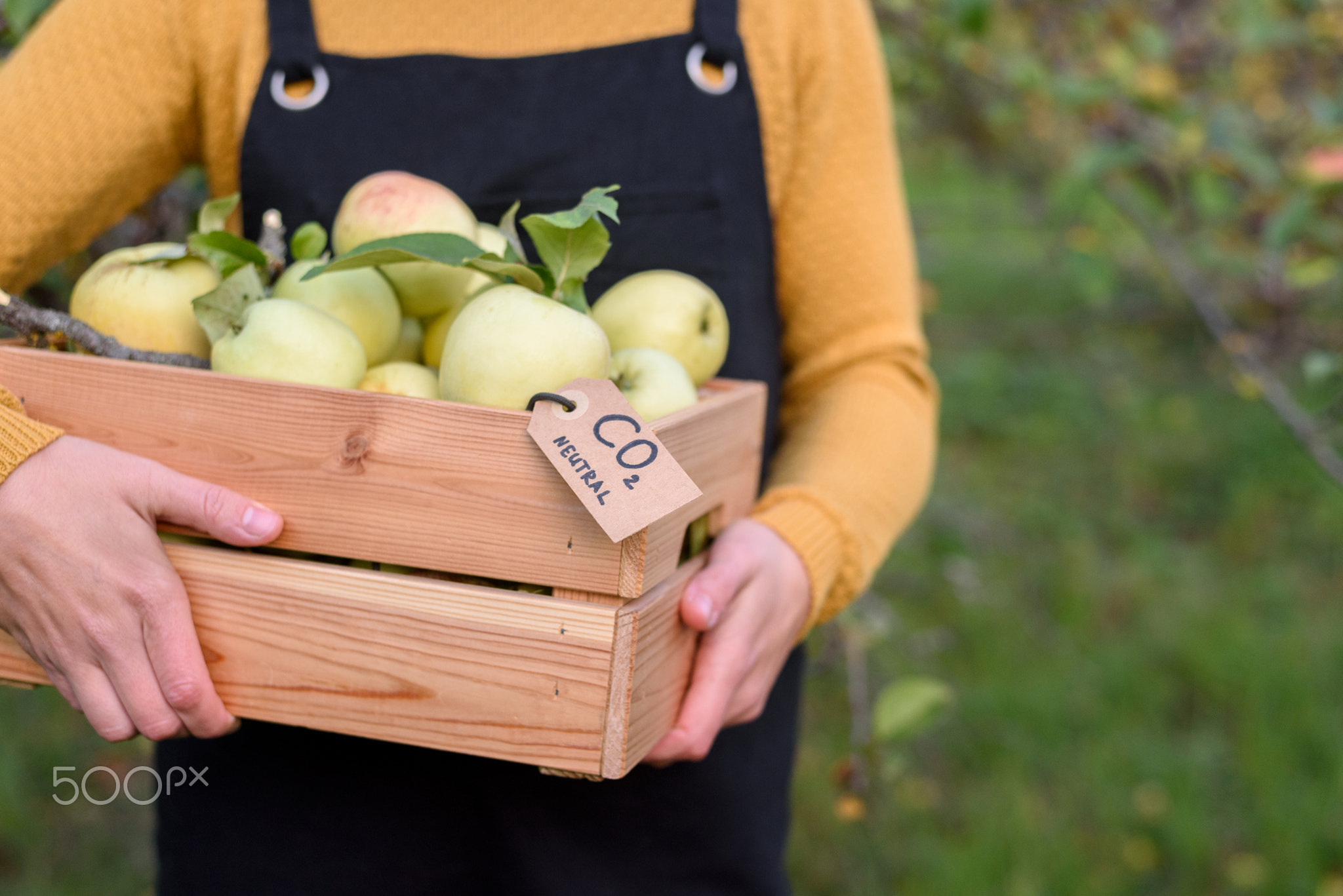 Local apples with carbon label