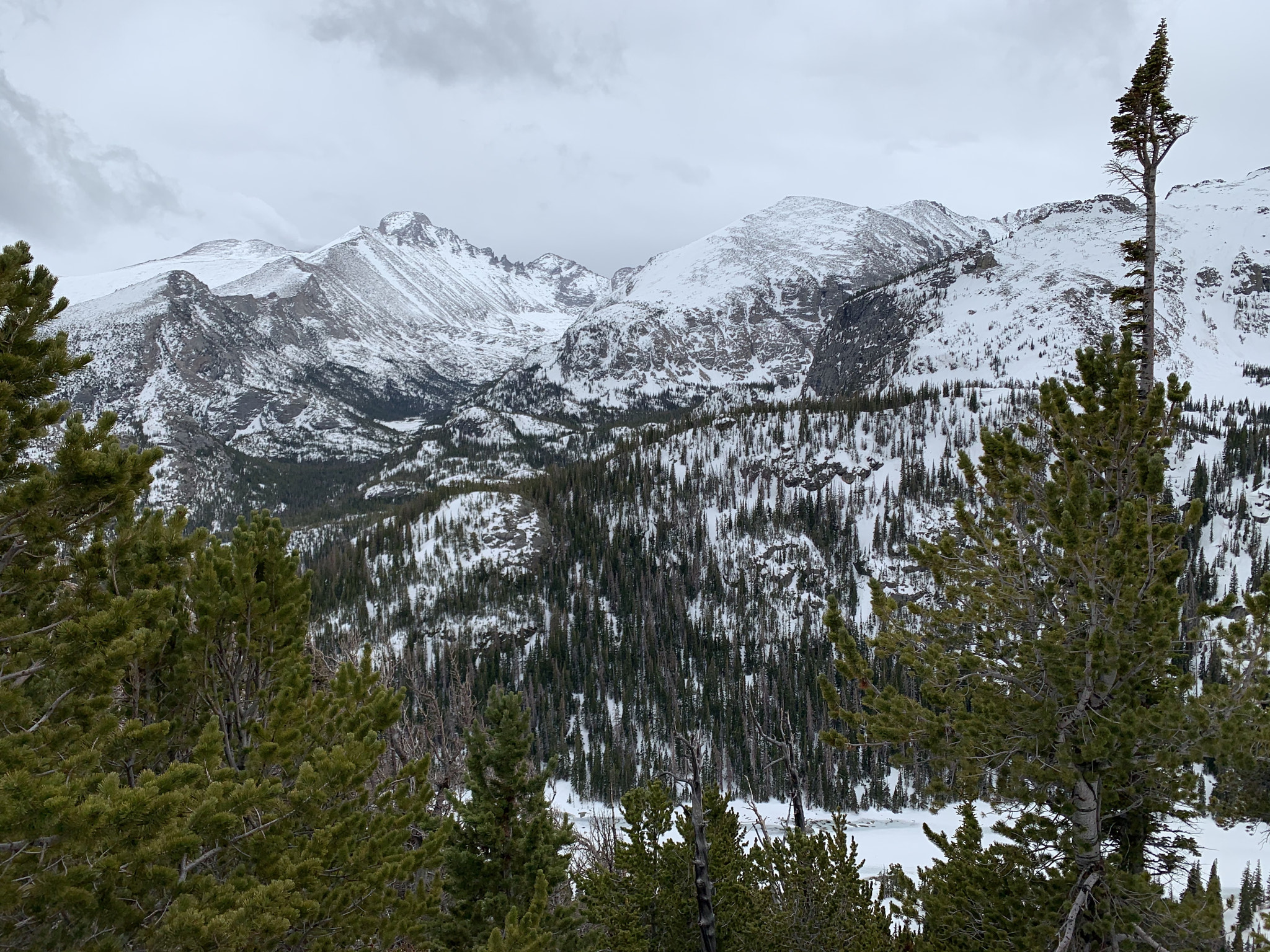 Hike with a side of Rockies