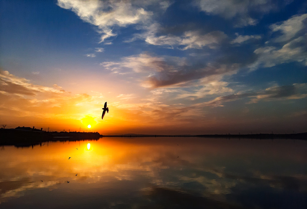 Flight at sunset by Vugar Gasimov on 500px.com