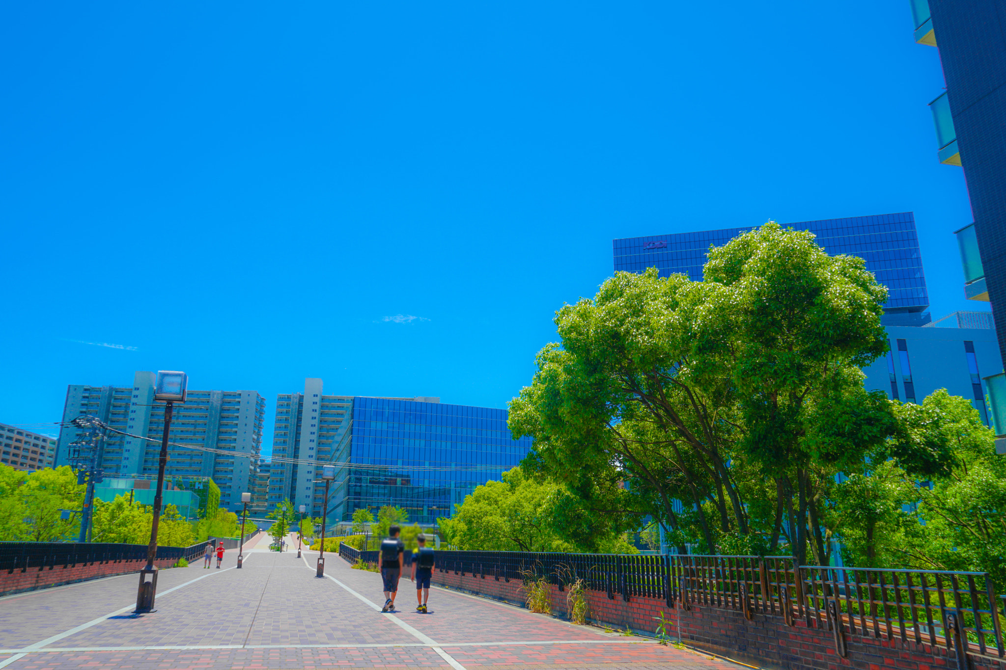 Quarter of the early summer of Tama Center