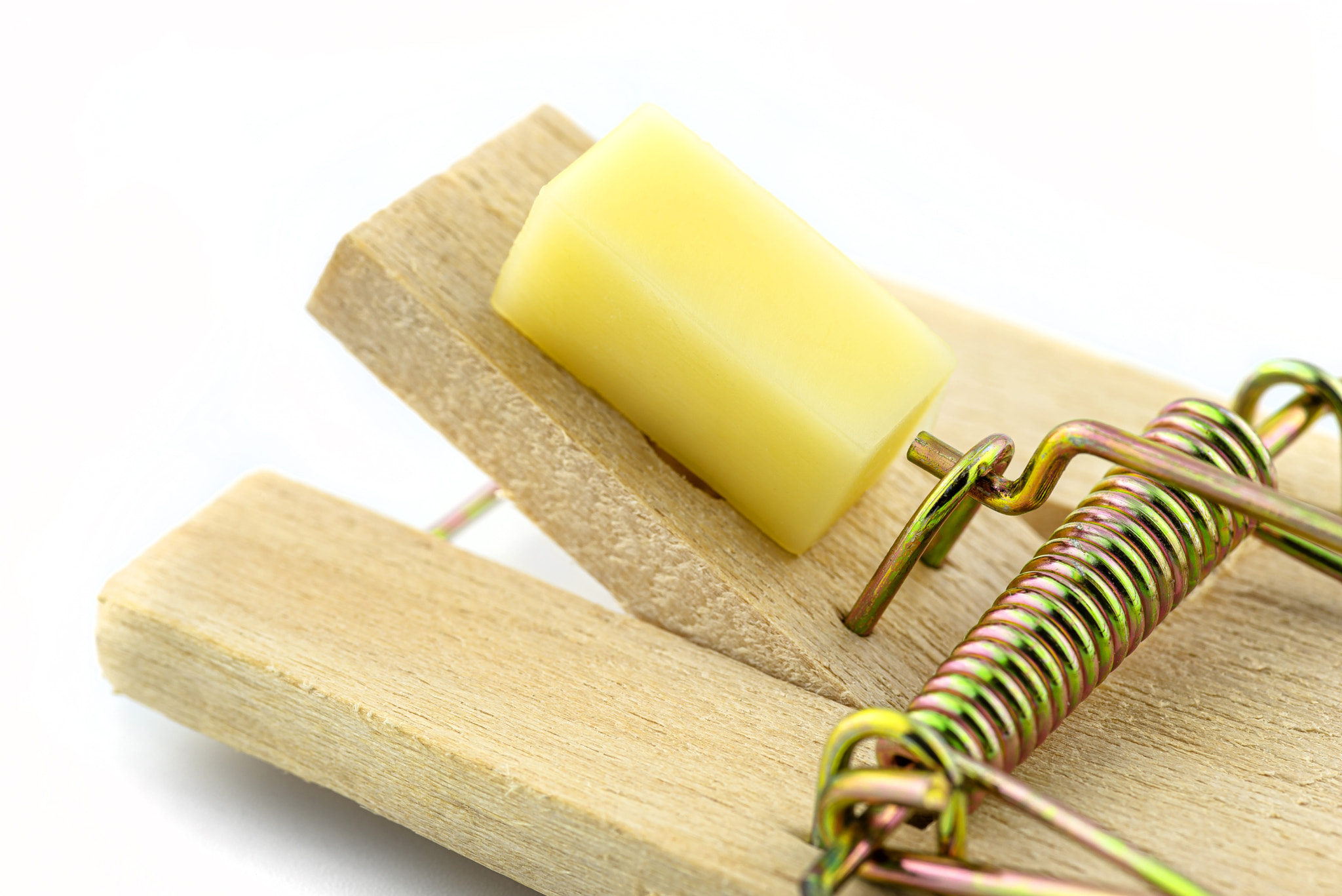 A macro photo of a cheese cube lying on a pawl in a mousetrap.