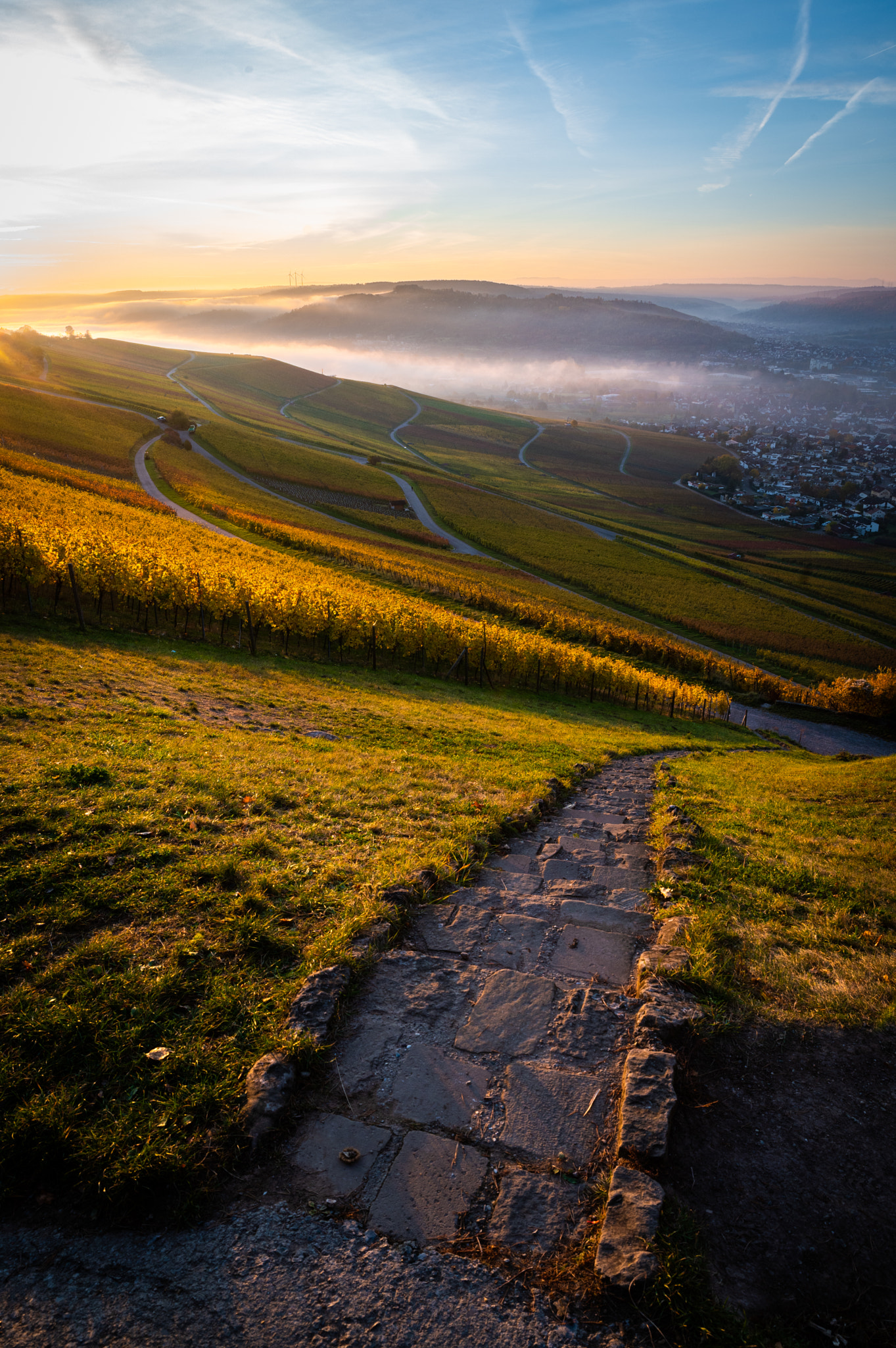 v2?sig=362e7569b2b1ba4d61d97296fc4821c9673fc7a927b3a0cf9c39b45731461a28