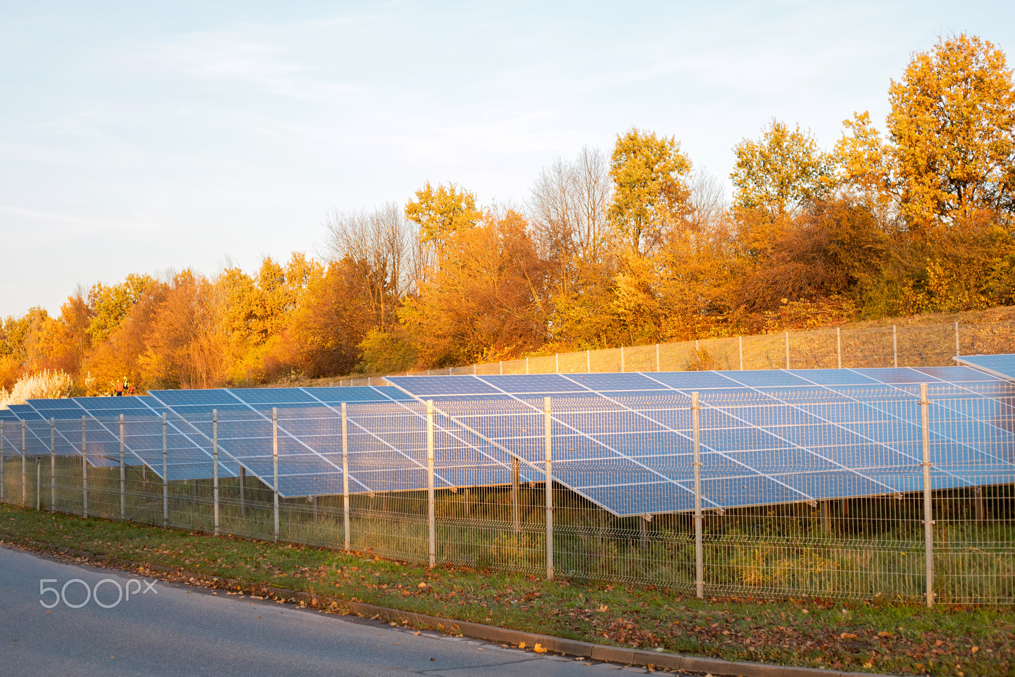 Ecology electric energy farm. Solar panels in autumn landscape