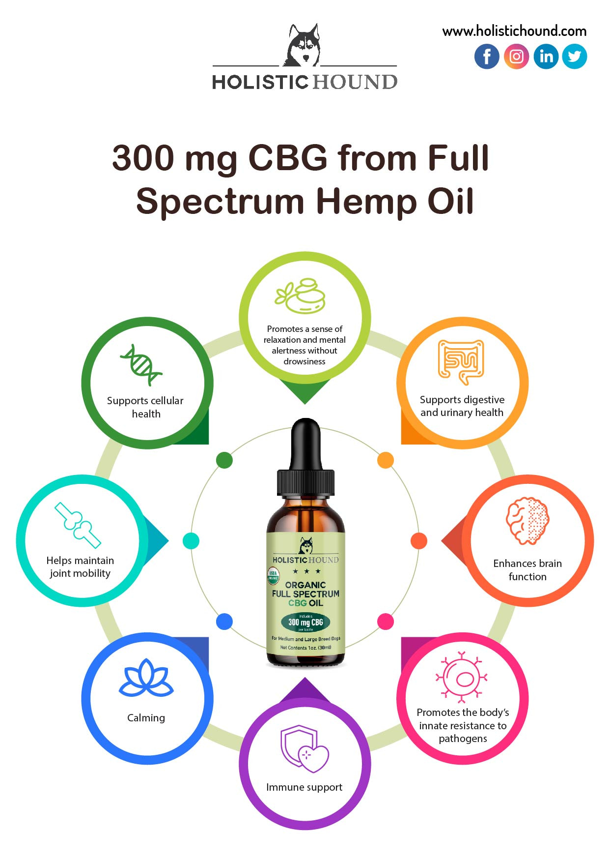 Buy 300 mg CBG from Full Spectrum Hemp Oil - Holistic Hound