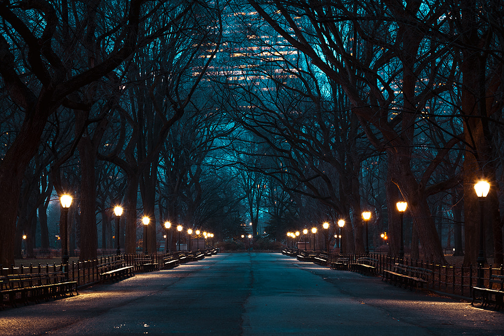 The Mall, Central Park, New York City, New York, America-small by Joe Daniel Price on 500px.com