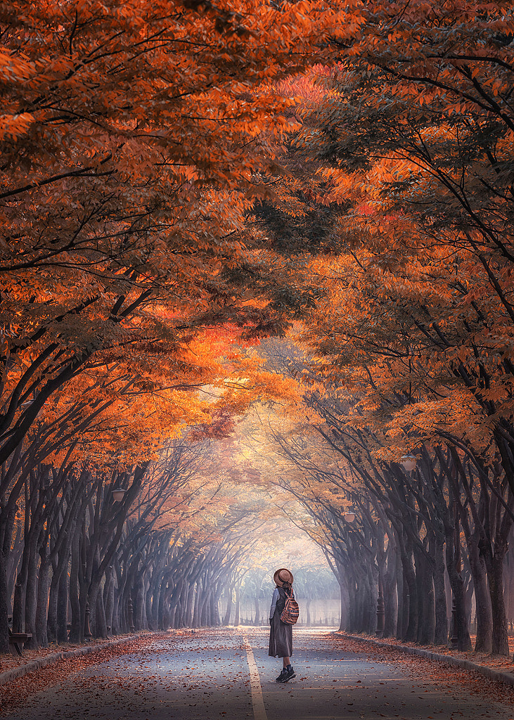 Incheon Grand Park by Jungsik Park on 500px.com