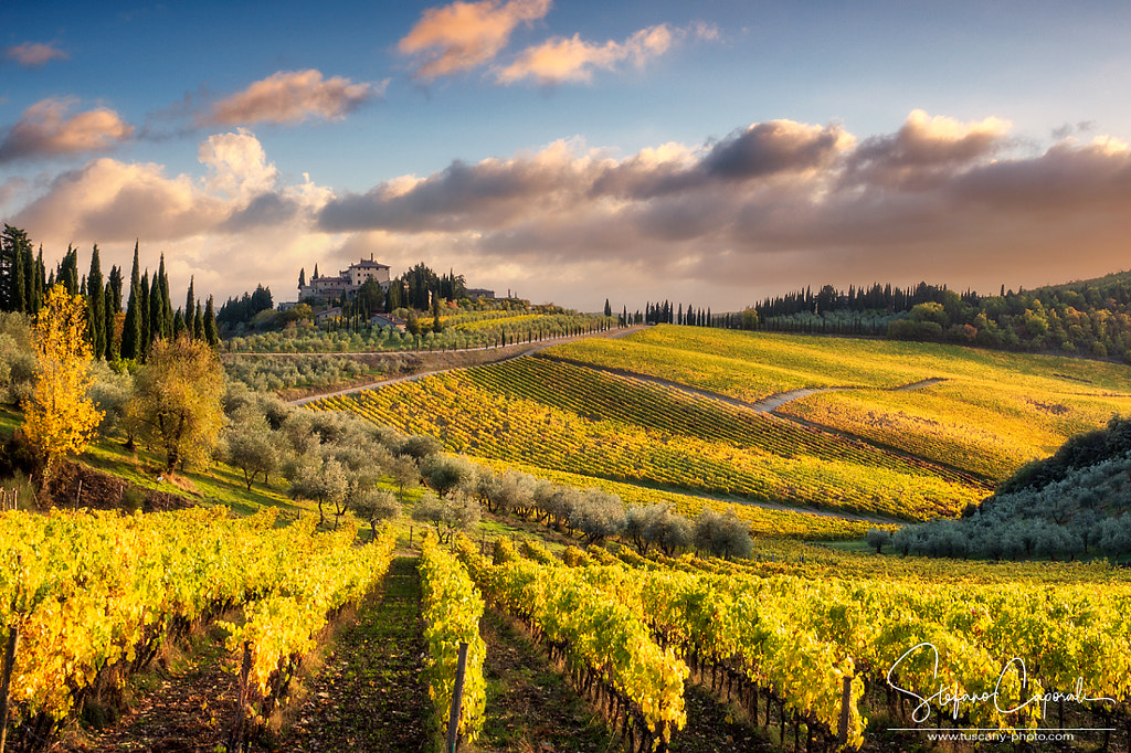 Autumn in Tuscany by Stefano Caporali on 500px.com