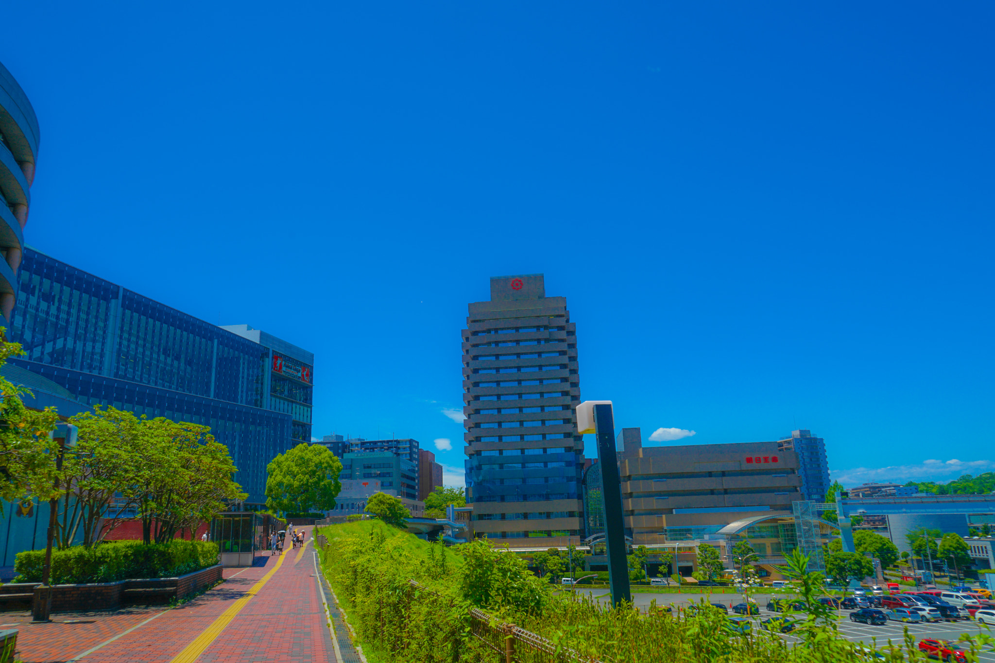 Quarter of the early summer of Tama Center