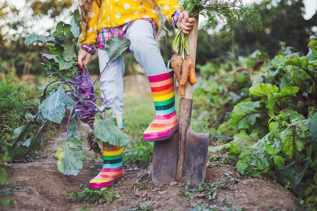 Little girl in vegetables garden holding fresh carrots and kohlrabi by Valentin Valkov on 500px.com