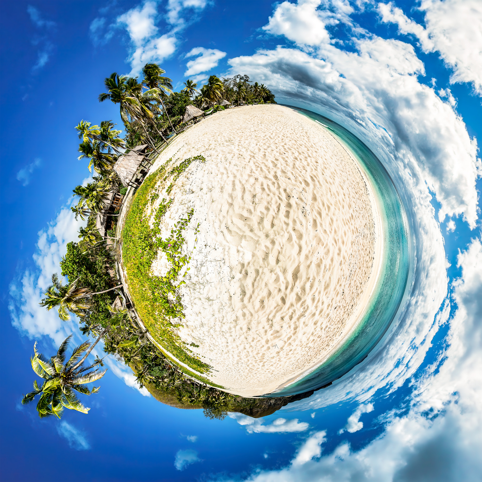 Beach Morning Glory - By © ChristianKleiman.com