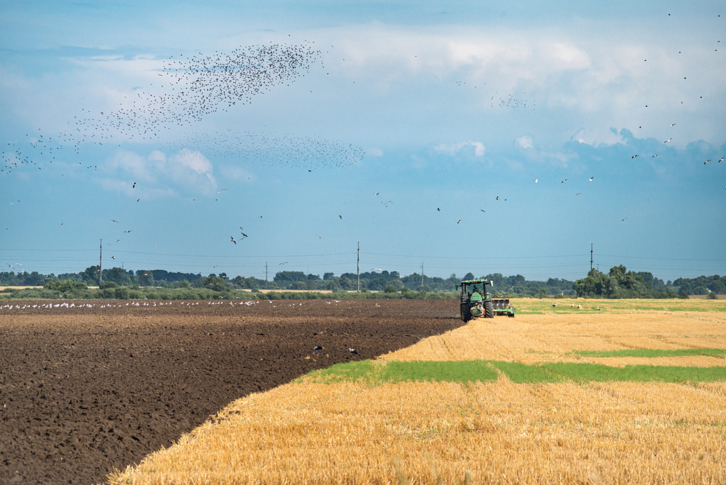 Harvesting season by Vladimir Zhdanov on 500px.com