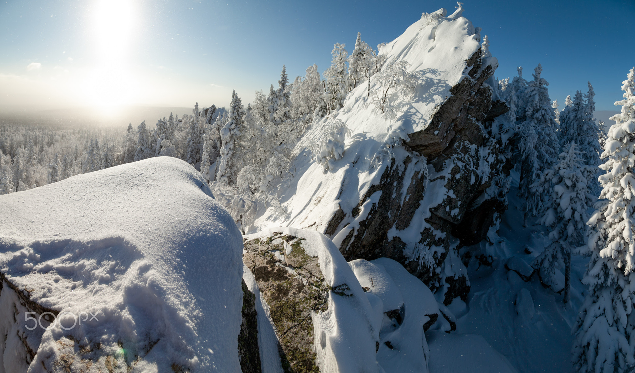 The pine forest is covered with fluffy snow. Meet 2022