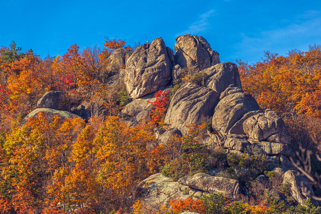 Old Rag in Autumn Color by Haoying Chen / 500px