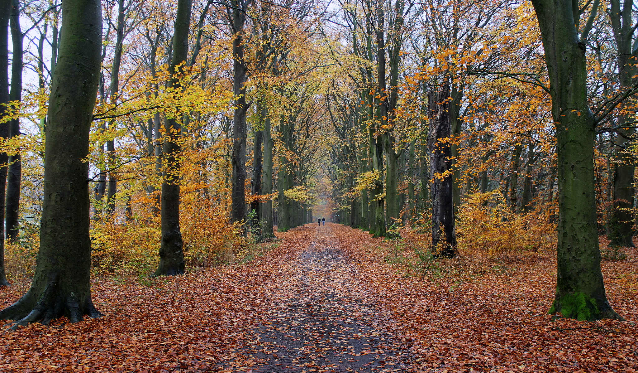 Autumn curated by Oomke Wiltjer / 500px