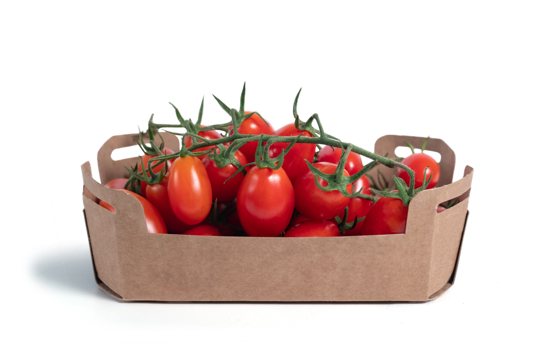 Branch tomato in recyclable box isolated from the background