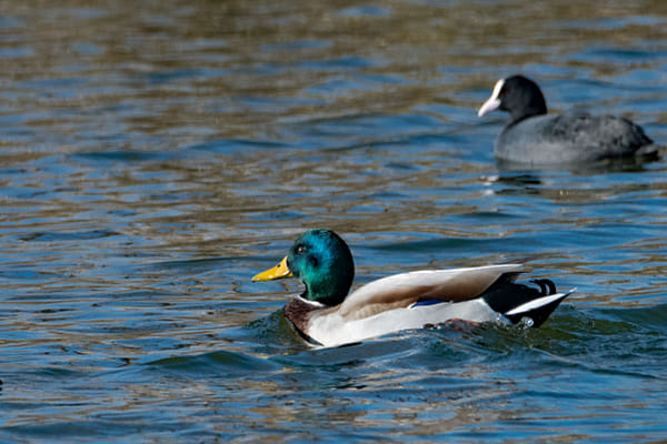 Rimma Volchenko (RimmaVolchenko) Profile / 500px