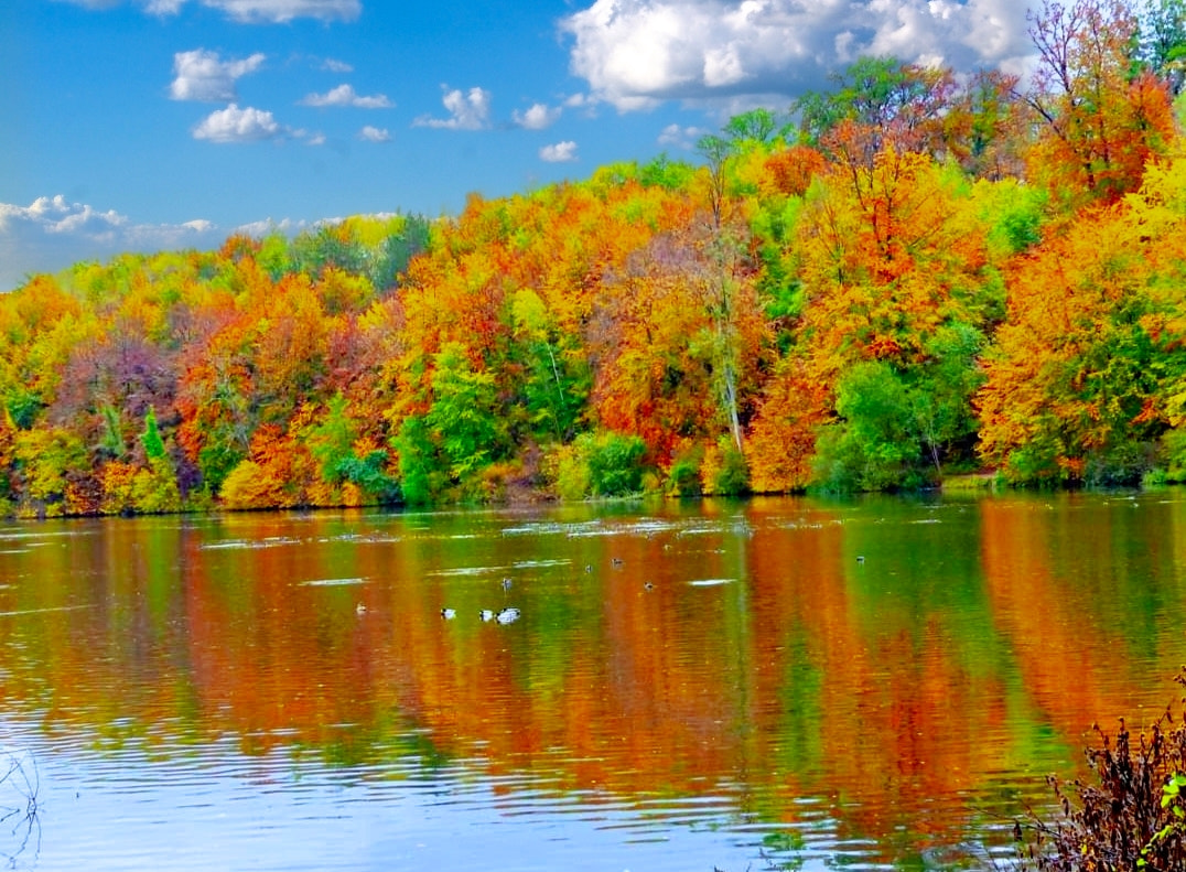 Etang Coye la Foret by Diane Dambreville / 500px