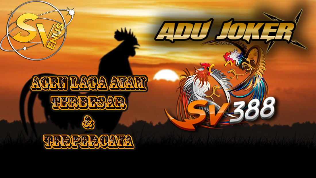 Sv388 ✓ Agen Sv388 ✓ Judi Sv388 ✓ Laga Ayam ✓ Adu Ayam ✓ Sabung Ayam