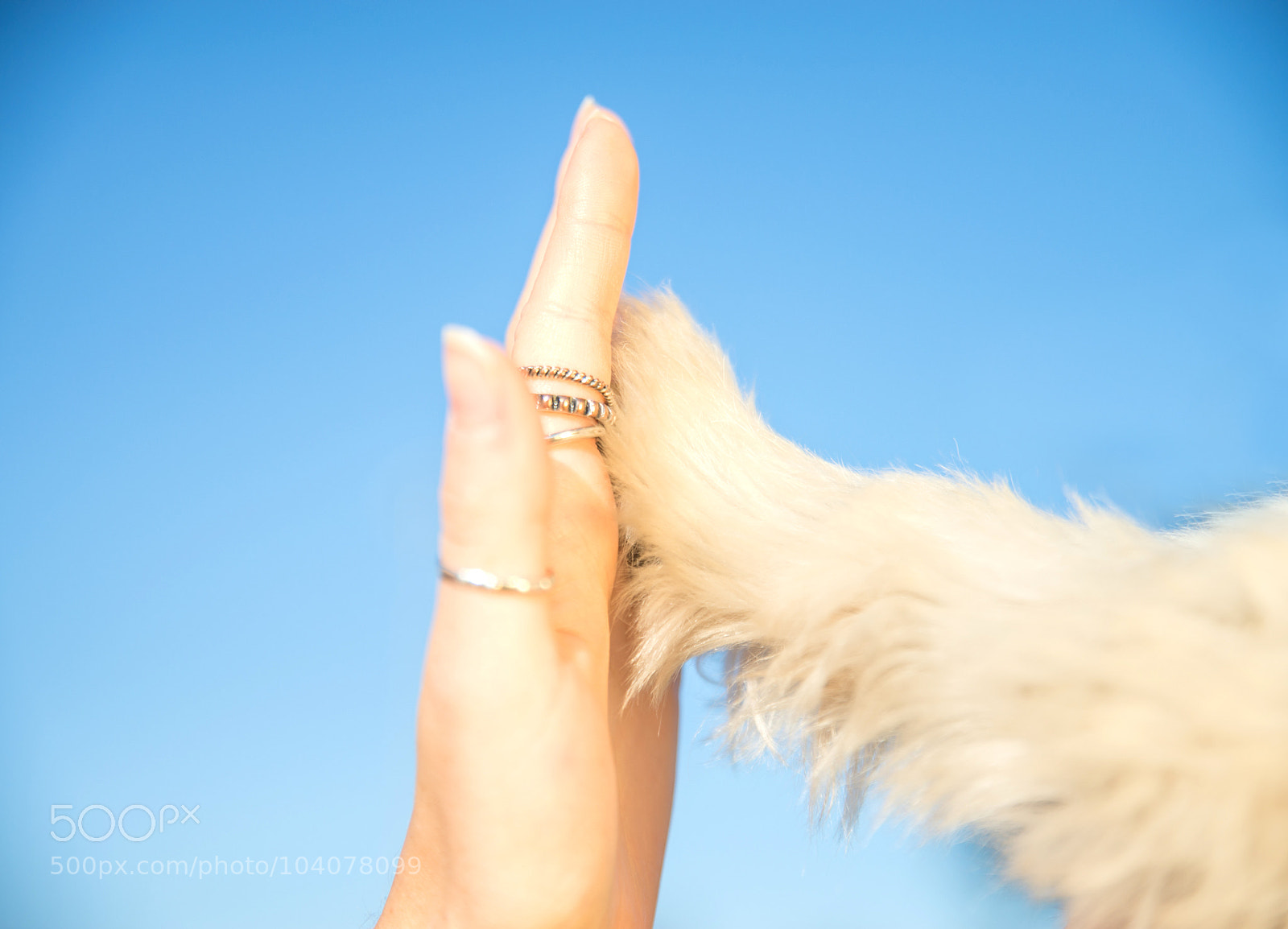 Nikon D610 sample photo. Untitled photography