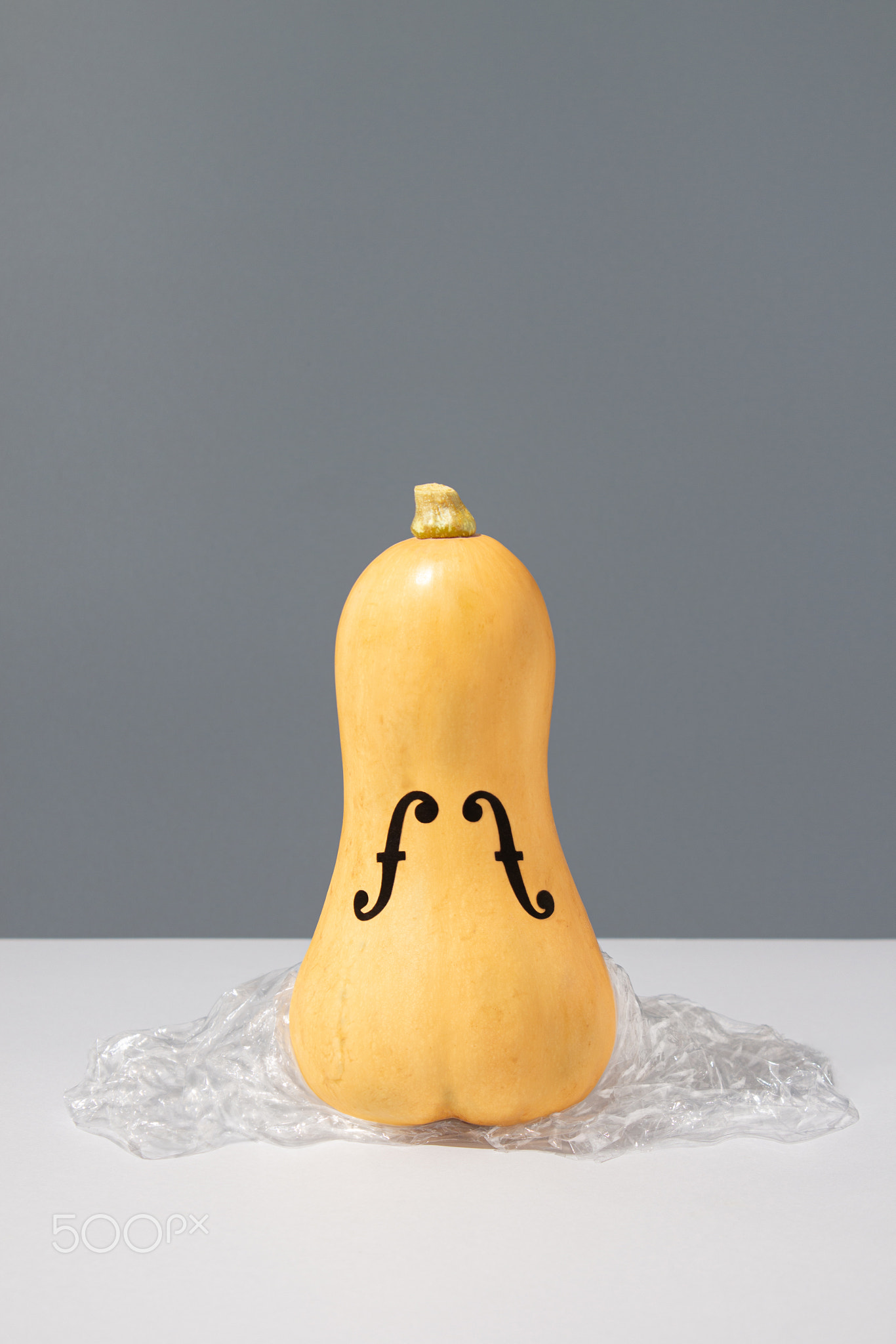 Butternut squash with violin holes on a plastic wrap