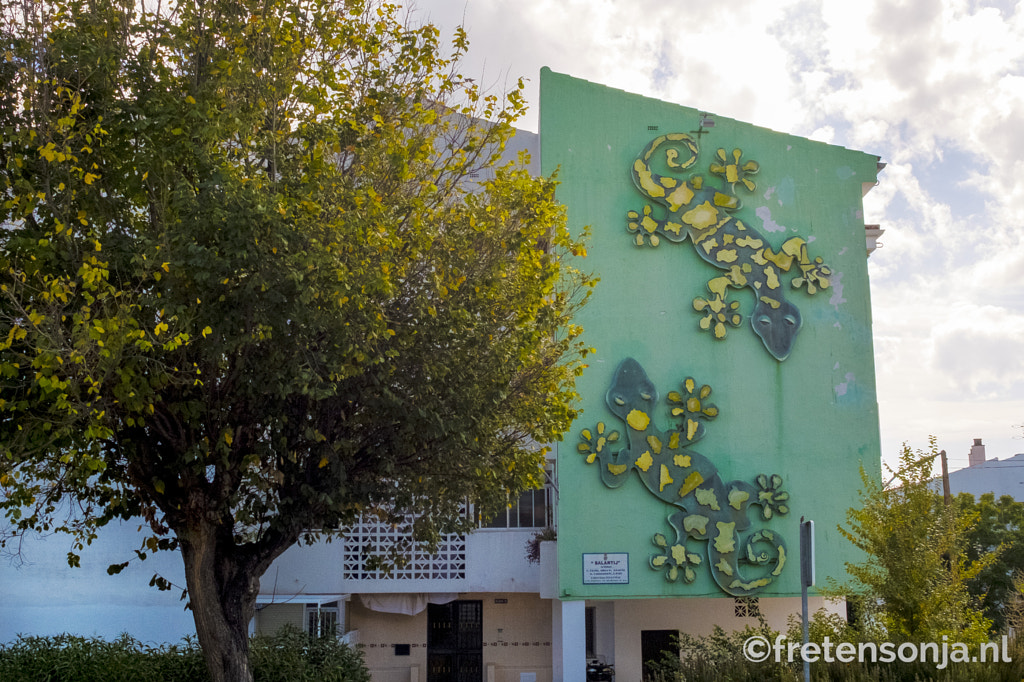 Untitled by www.fretensonja.nl on 500px.com