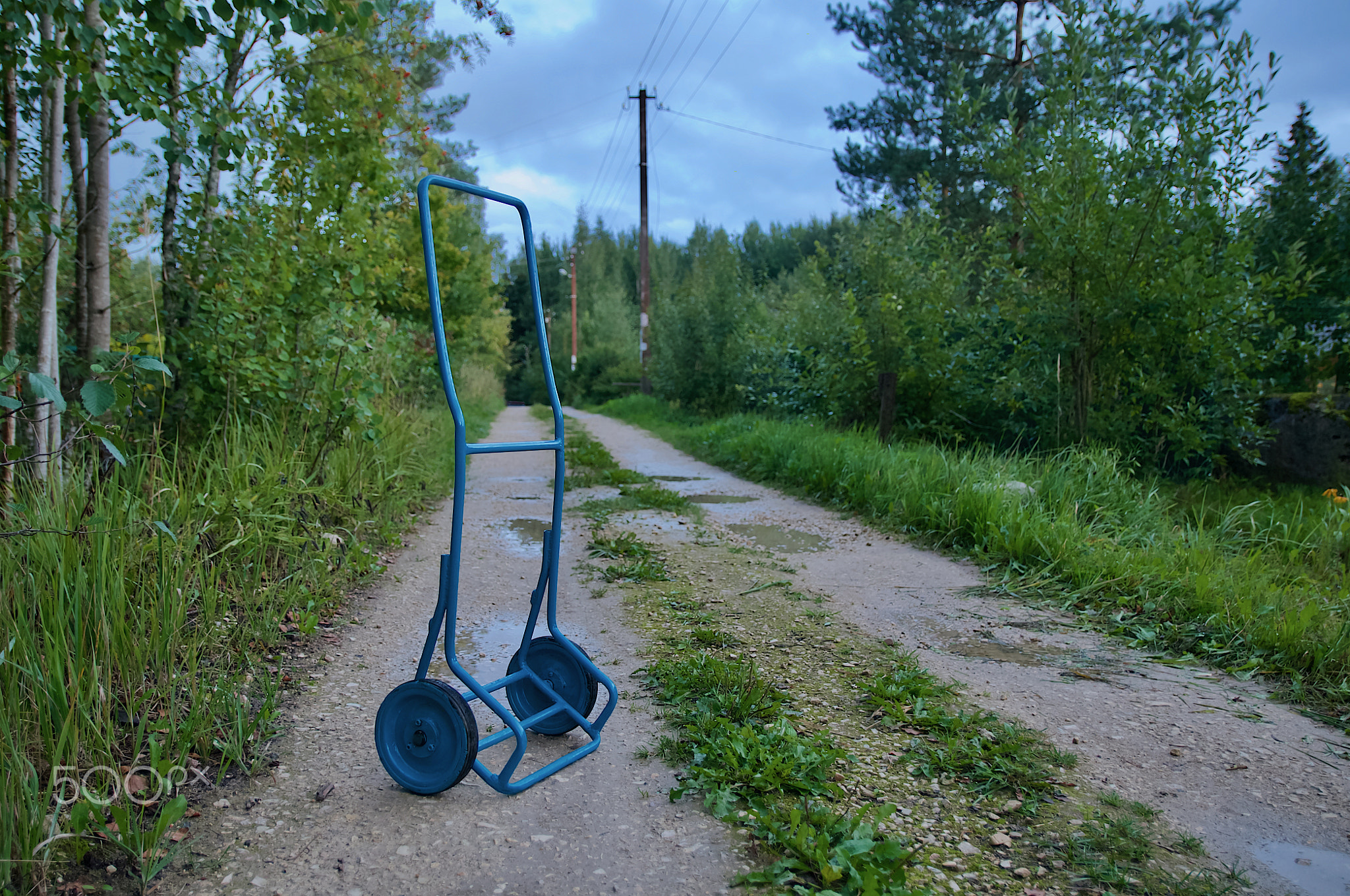 Blue cart
