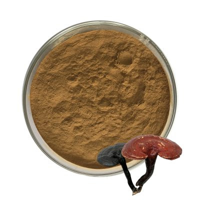 Reishi Extract Supplier