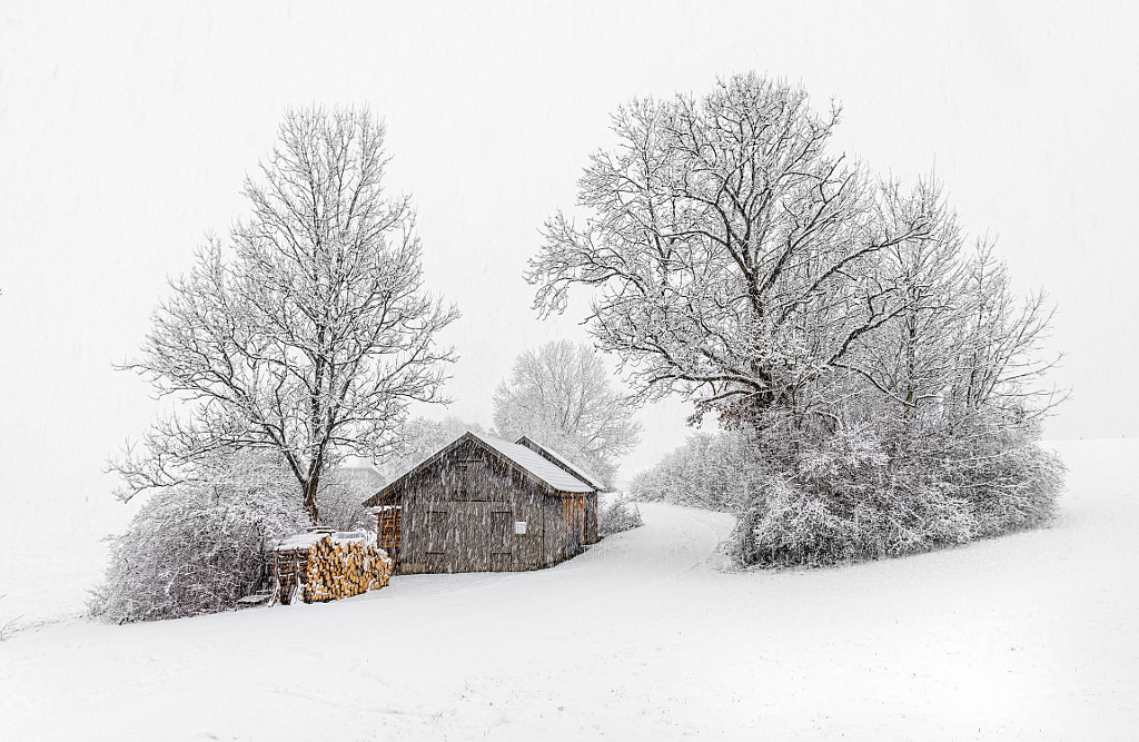 let it snow ..  by Birdies Landscapes on 500px.com
