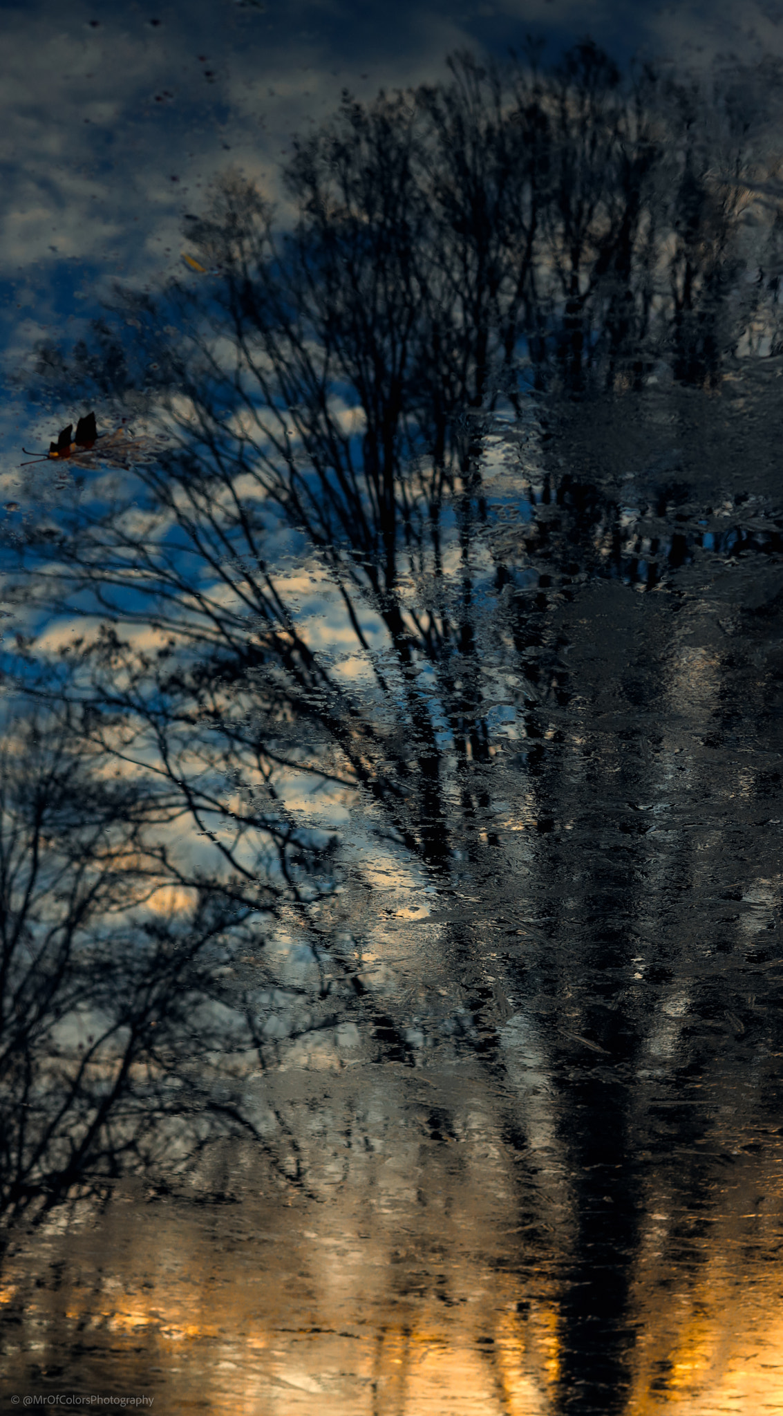 Sundown in Cold Water (11-12-2021) by DillenvanderMolen