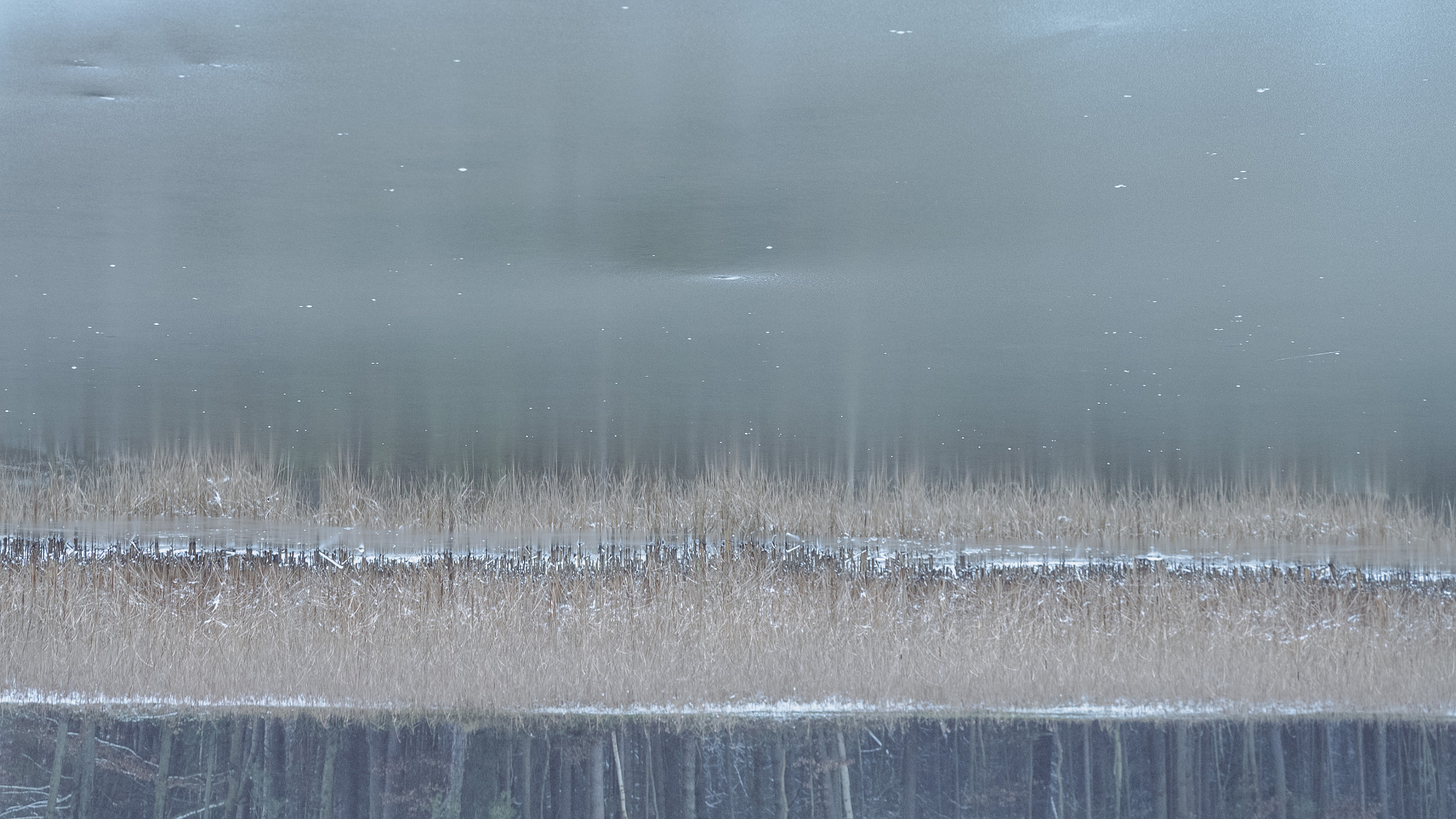 Winter mood