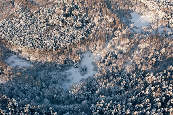 Drone view frozen snowy forest at sunny winter day by Fascinadora on 500px.com