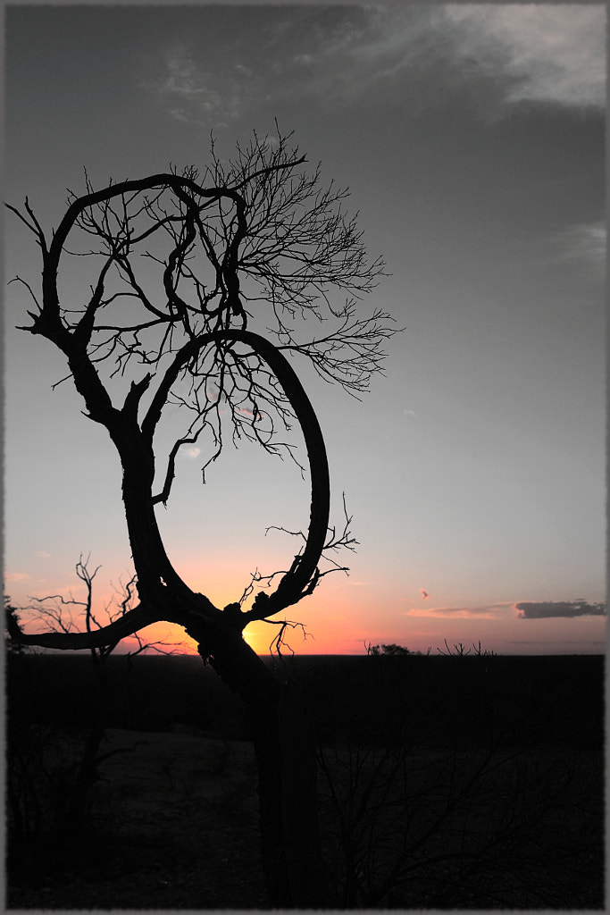 Lightning Ridge Sunset VIII by Justin B. on 500px.com