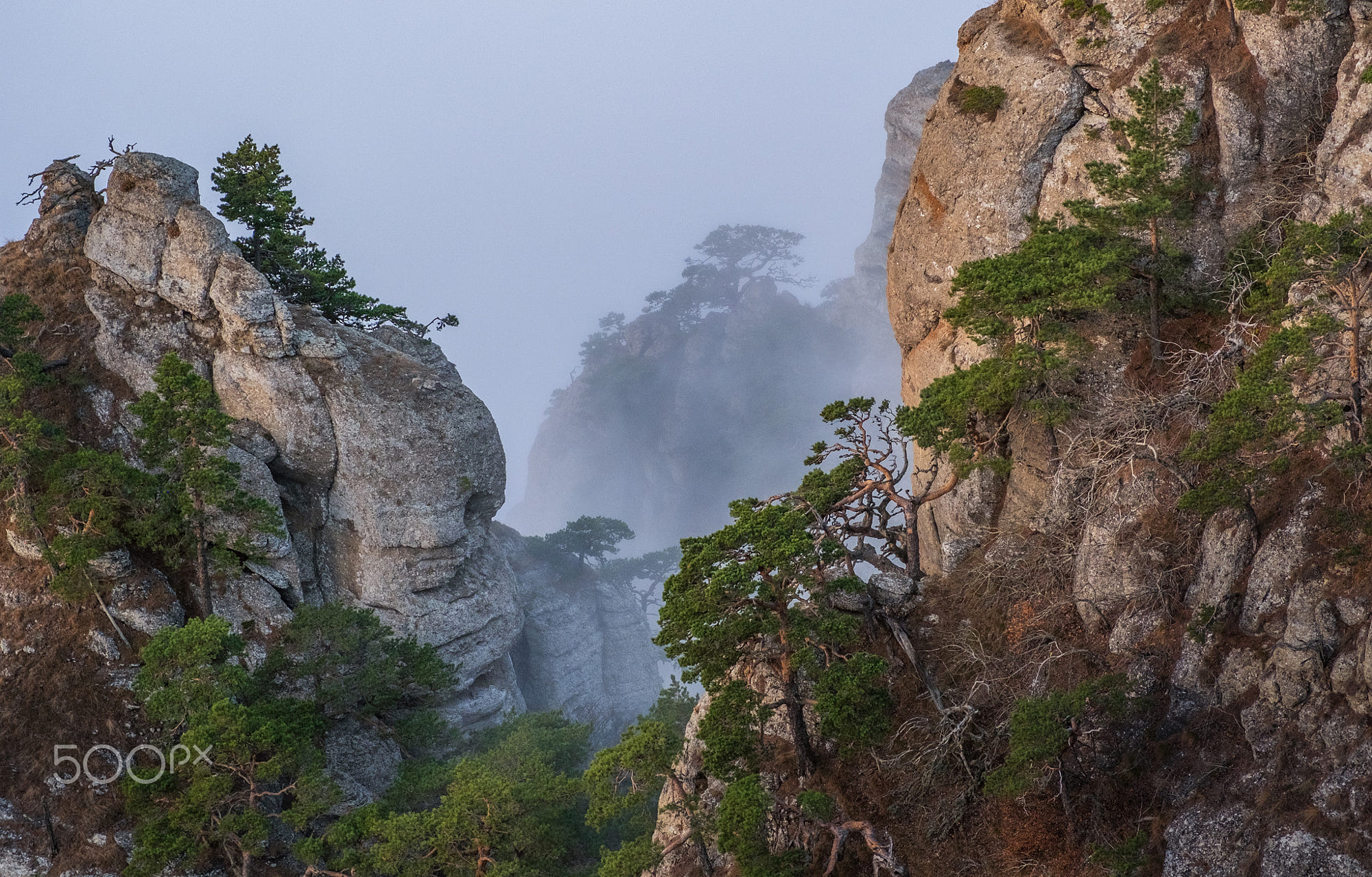 горы тяньцзи провинция хунань. горы улинъюань. скалы аватара джилы су. национальный парк хуаншань. парк чжанцзяцзе китай.
