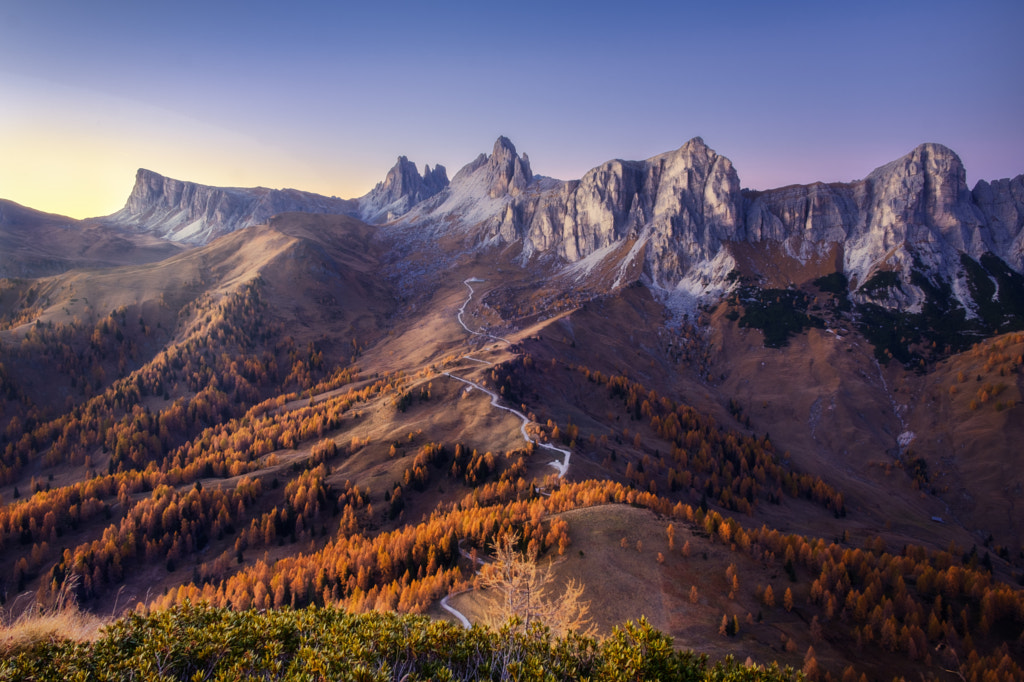 Walk of life by Nicolò Taborra on 500px.com