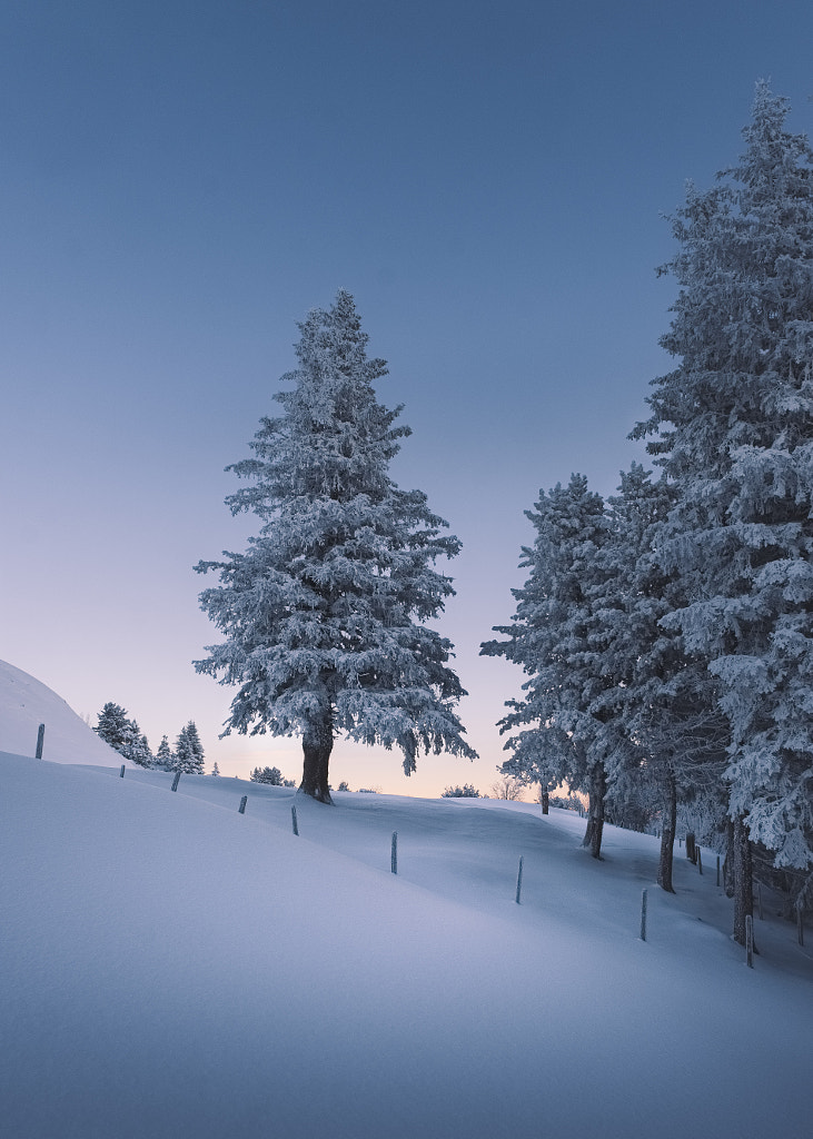 Still Sleeping by Adrian Zurbriggen on 500px.com