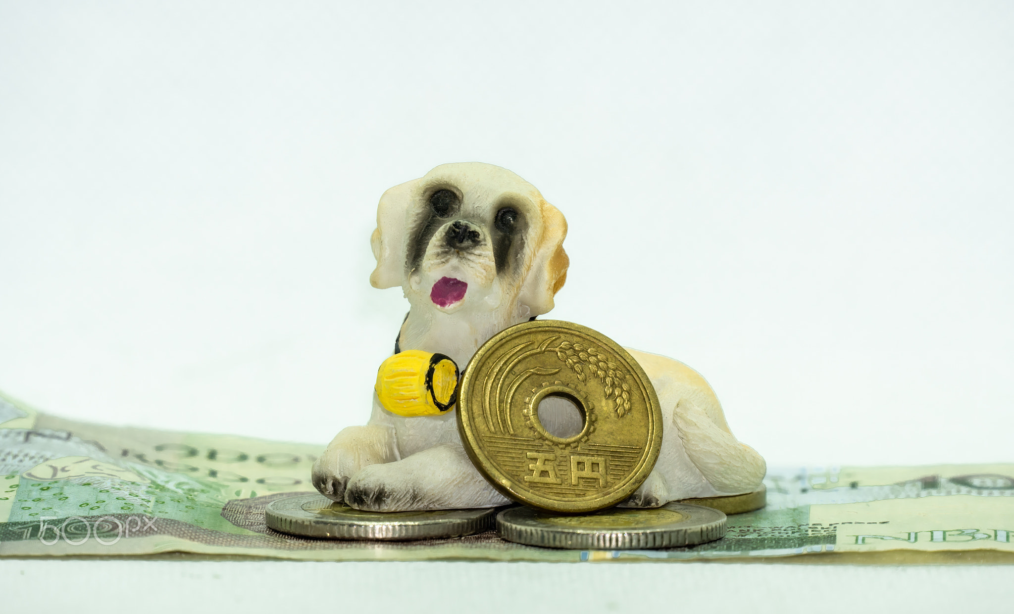 dog with money and coin