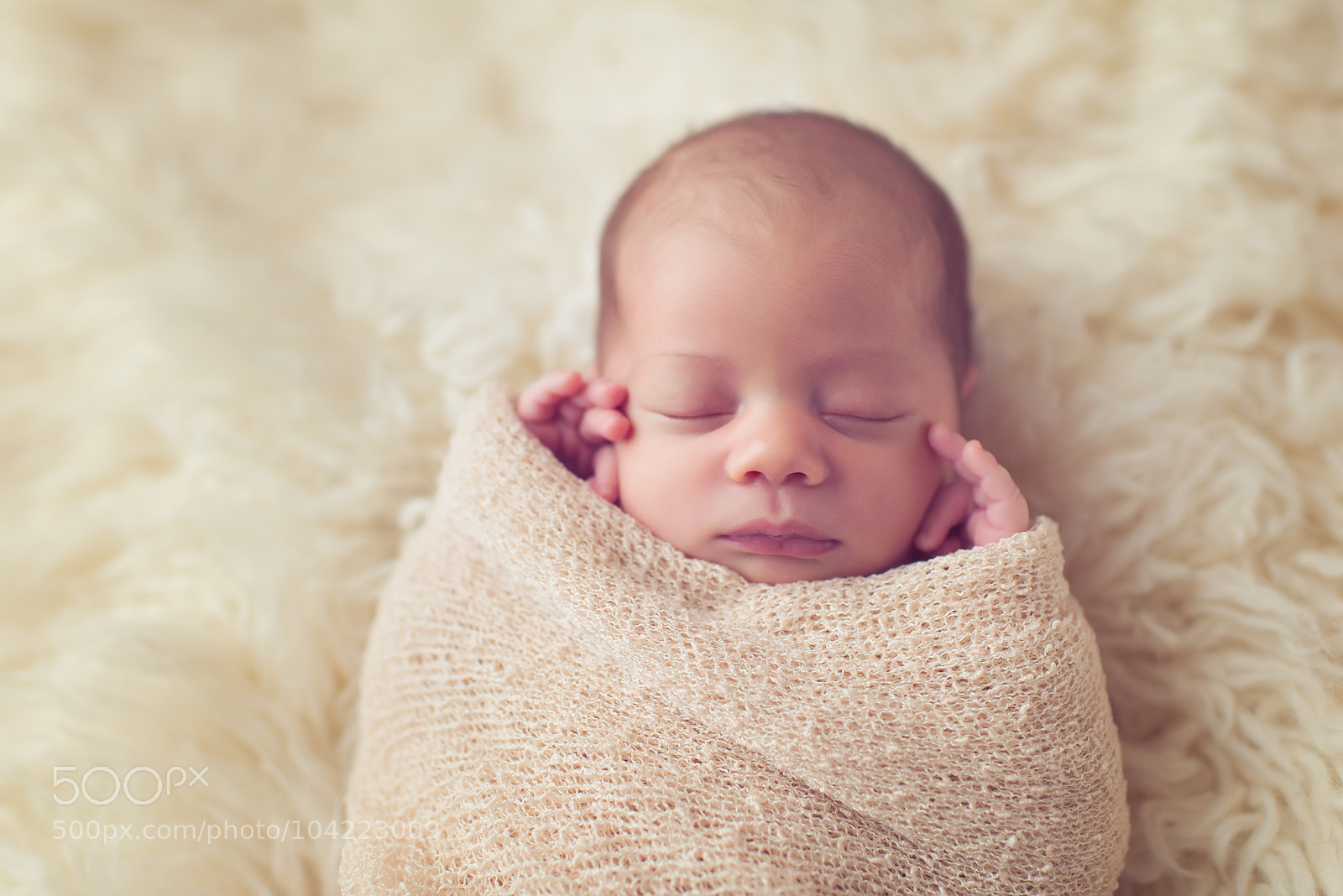 Nikon D800 sample photo. 6 photography