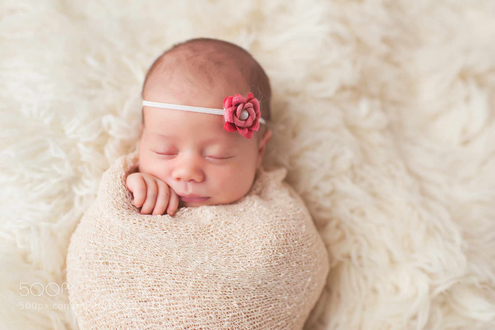 Nikon D800 sample photo. 7 photography