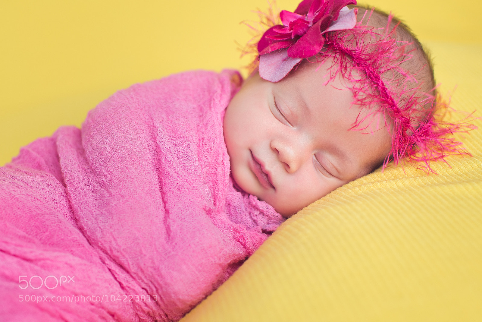 Nikon D800 sample photo. 8 photography