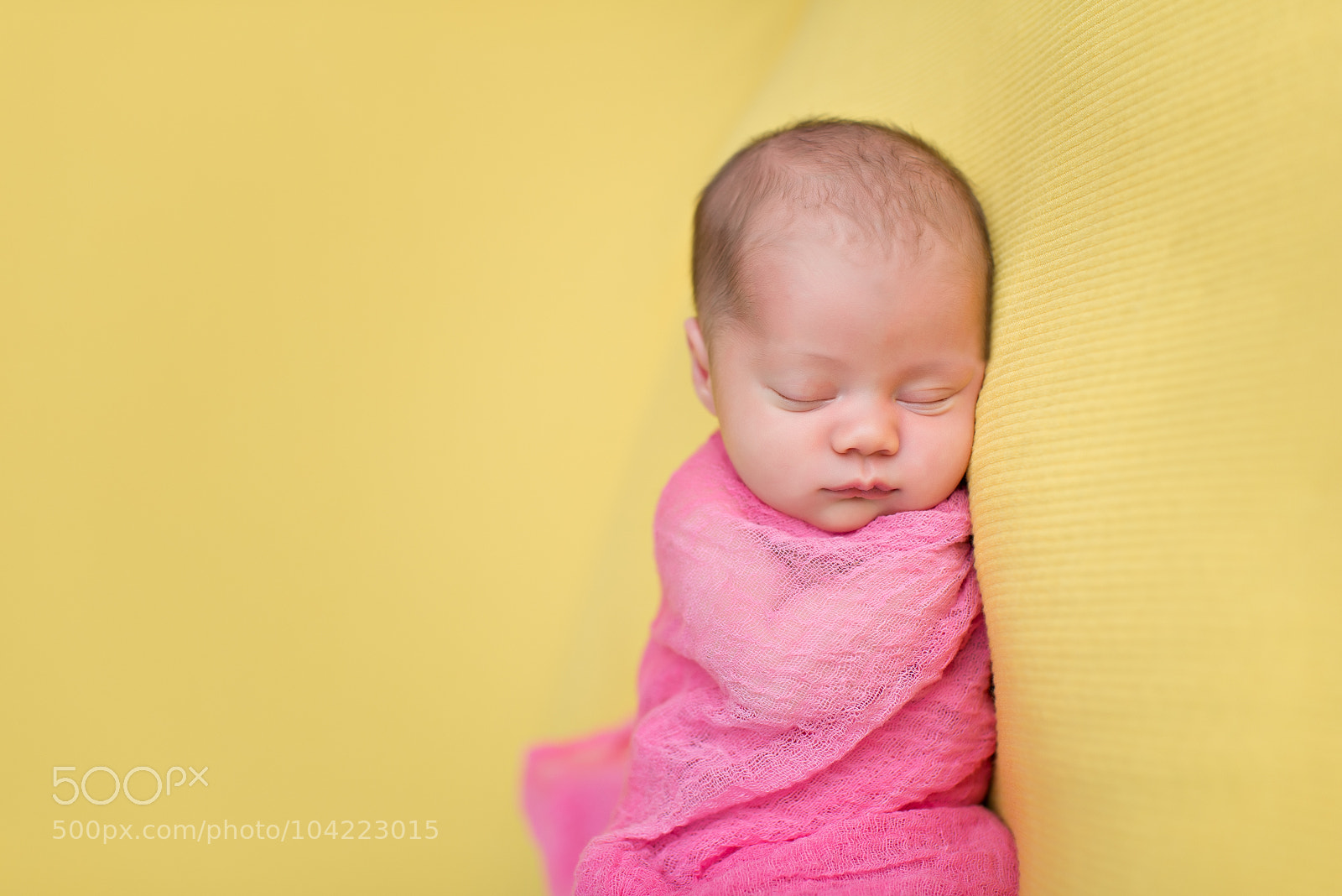 Nikon D800 sample photo. 9 photography