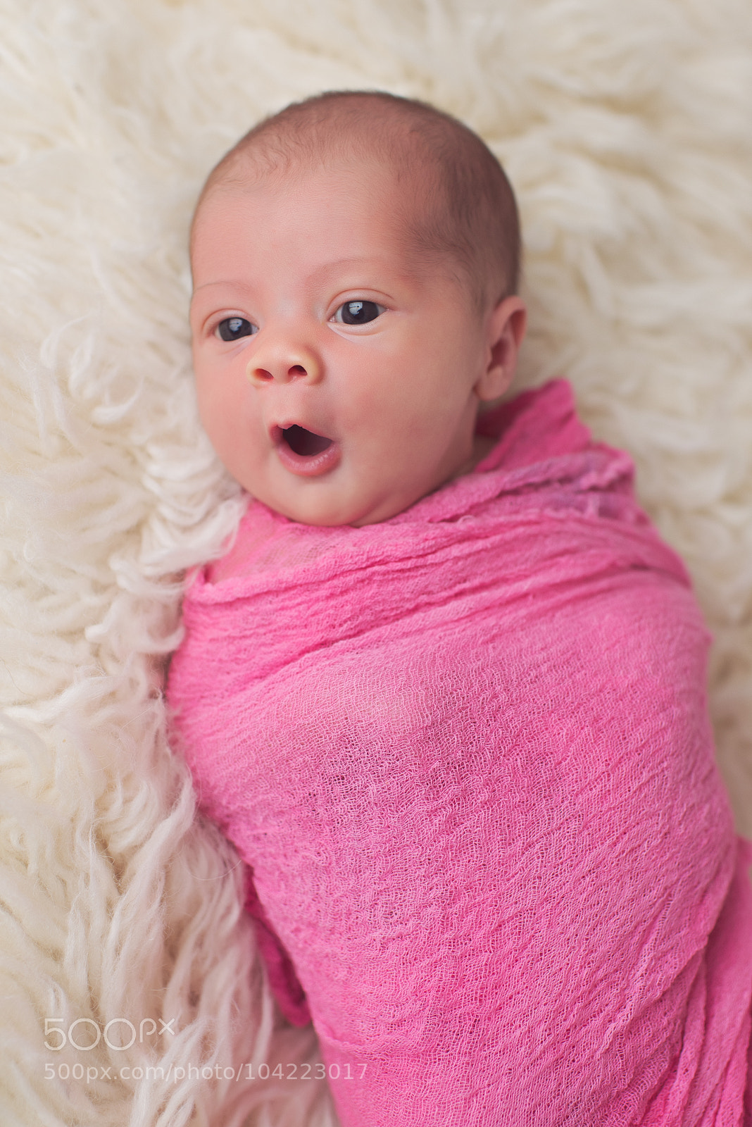 Nikon D800 sample photo. 10 photography